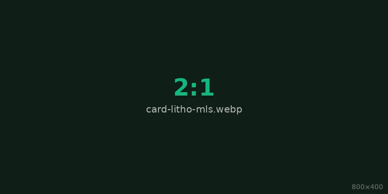 Maskless Microlithography Systems (MLS)